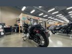 Thumbnail Photo 1 for 2021 Harley-Davidson Softail Standard