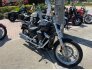 2021 Harley-Davidson Softail Standard for sale 201241768