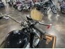 2021 Harley-Davidson Softail Standard for sale 201274977