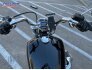 2021 Harley-Davidson Softail Standard for sale 201279261