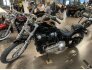 2021 Harley-Davidson Softail Standard for sale 201294113