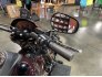 2021 Harley-Davidson Softail Low Rider S for sale 201318039