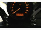 Thumbnail Photo 16 for 2021 Harley-Davidson Sportster Iron 1200