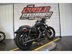 Thumbnail Photo 9 for 2021 Harley-Davidson Sportster