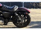 Thumbnail Photo 8 for 2021 Harley-Davidson Sportster