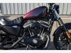Thumbnail Photo 2 for 2021 Harley-Davidson Sportster