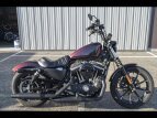 Thumbnail Photo 0 for 2021 Harley-Davidson Sportster