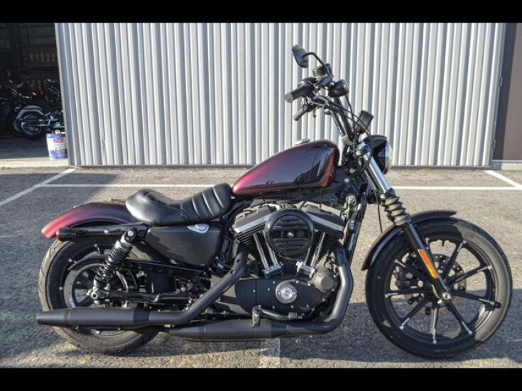 Thumbnail Photo undefined for 2021 Harley-Davidson Sportster