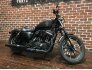 2021 Harley-Davidson Sportster Iron 883 for sale 201180211