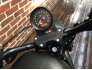 2021 Harley-Davidson Sportster Iron 883 for sale 201180662