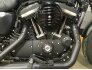 2021 Harley-Davidson Sportster Iron 883 for sale 201288802