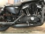 2021 Harley-Davidson Sportster Iron 883 for sale 201295013