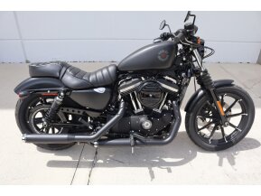 2021 Harley-Davidson Sportster Iron 883 for sale 201296394