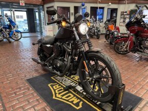 2021 Harley-Davidson Sportster Iron 883 for sale 201314799