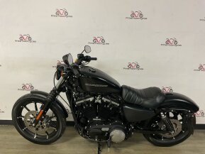 2021 Harley-Davidson Sportster Iron 883 for sale 201343317