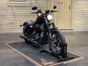 2021 Harley-Davidson Sportster Iron 883 for sale 201370445