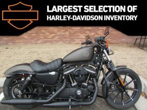2021 Harley-Davidson Sportster Iron 883 for sale 201391384