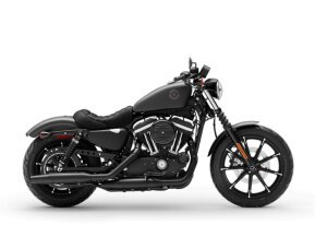 2021 Harley-Davidson Sportster Iron 883 for sale 201559063