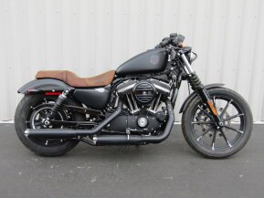 2021 Harley-Davidson Sportster Iron 883 for sale 201571316