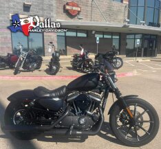 2021 Harley-Davidson Sportster Iron 883 for sale 201605434