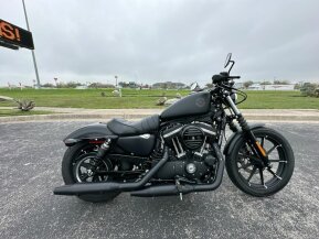2021 Harley-Davidson Sportster Iron 883 for sale 201608755