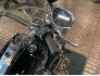 2021 Harley-Davidson Touring Road King for sale 201293826