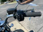 Thumbnail Photo 3 for 2021 Harley-Davidson Trike Freewheeler