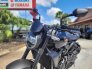 2021 Honda CB1000R for sale 201156802