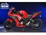 2021 Honda CBR300R for sale 201351772