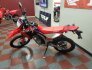 2021 Honda CRF300L for sale 201277353