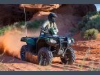 Thumbnail Photo 4 for New 2021 Honda FourTrax Foreman Rubicon 4x4 Automatic DCT
