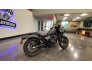 2021 Honda Rebel 500 Special Edition ABS for sale 201223254