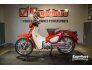 2021 Honda Super Cub C125 ABS for sale 201286862