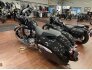 2021 Indian Chieftain Limited for sale 201224329