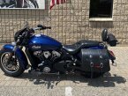 Thumbnail Photo 1 for 2021 Indian Scout