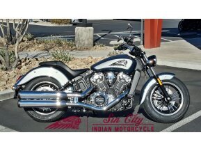 2021 Indian Scout for sale 201028571