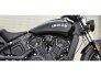 2021 Indian Scout for sale 201169567