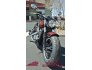 2021 Indian Scout for sale 201183235