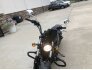 2021 Indian Scout Sixty for sale 201195800