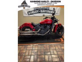 2021 Indian Scout for sale 201218849