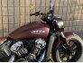 2021 Indian Scout for sale 201220361