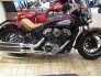 2021 Indian Scout for sale 201221827