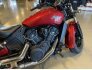 2021 Indian Scout for sale 201327788