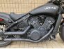 2021 Indian Scout for sale 201333157