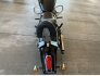 2021 Indian Scout for sale 201371375