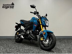 2021 Kawasaki Z125 Pro