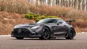 2021 Mercedes-Benz AMG GT Black Series Coupe for sale 101996853