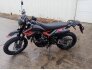 2021 SSR XF250 for sale 201017876