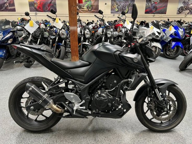 Thumbnail Photo undefined for 2021 Yamaha MT-03