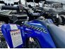 2021 Yamaha Raptor 90 for sale 201298537